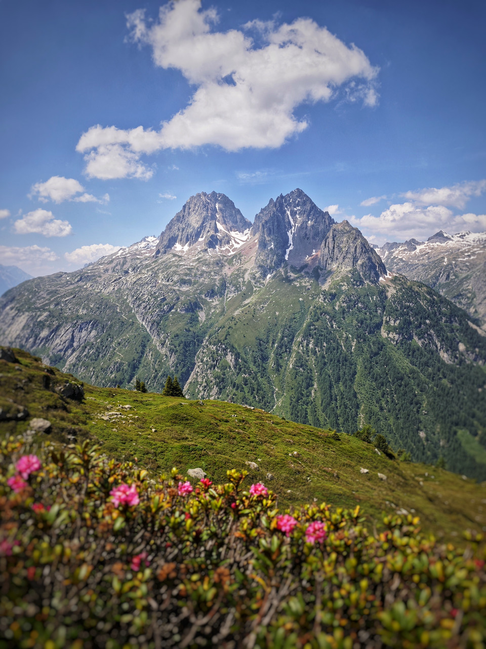 Les Aiguilles Rouges depuis le parcours du Tour du Mont-Blanc